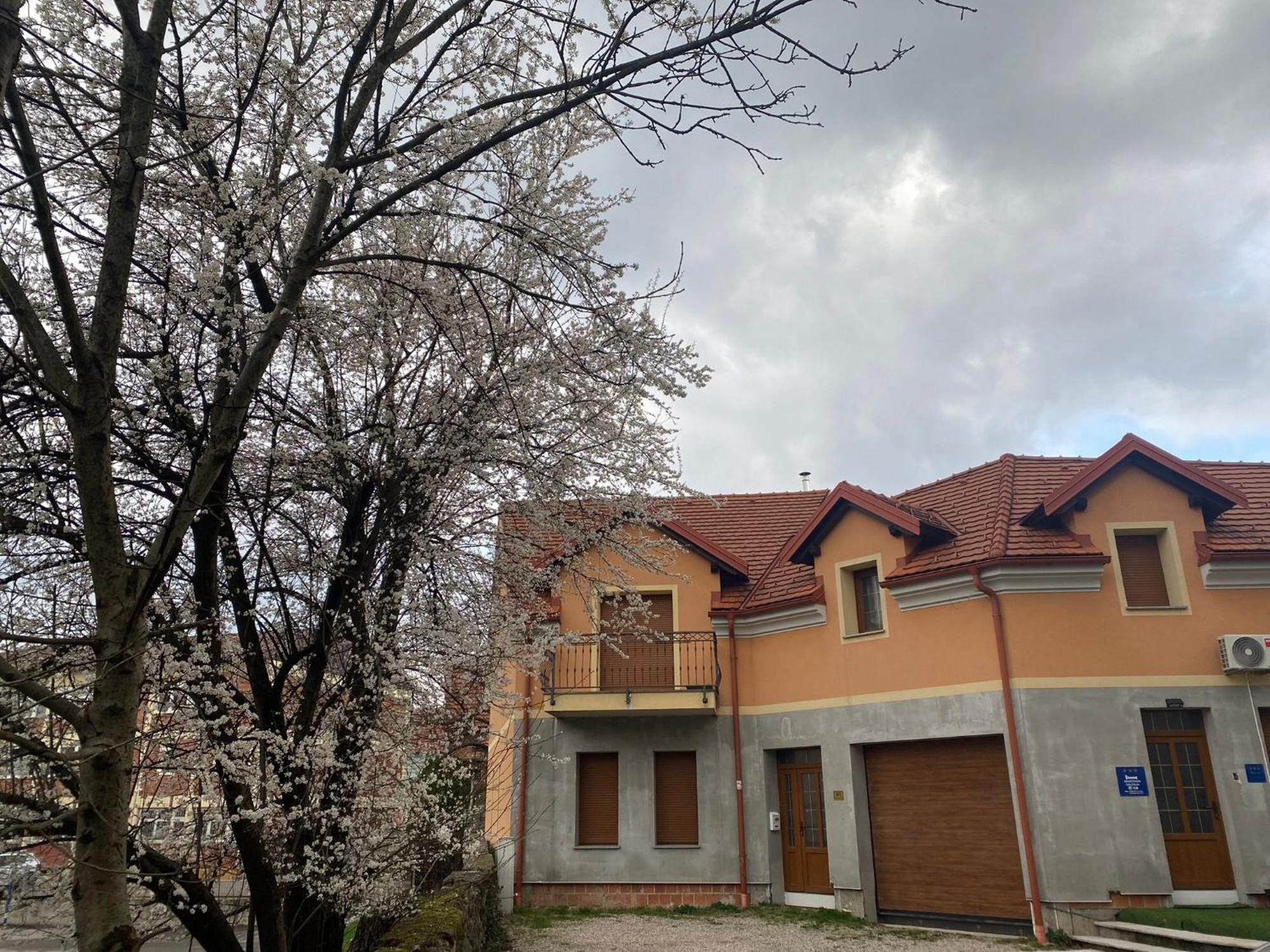 Apartman Galerija Ogulin Exterior foto